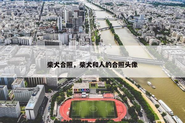 柴犬合照，柴犬和人的合照头像