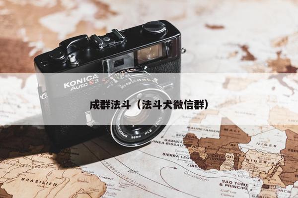成群法斗（法斗犬微信群）