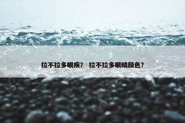 拉不拉多眼疾？ 拉不拉多眼睛颜色？