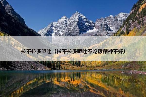 拉不拉多呕吐（拉不拉多呕吐不吃饭精神不好）