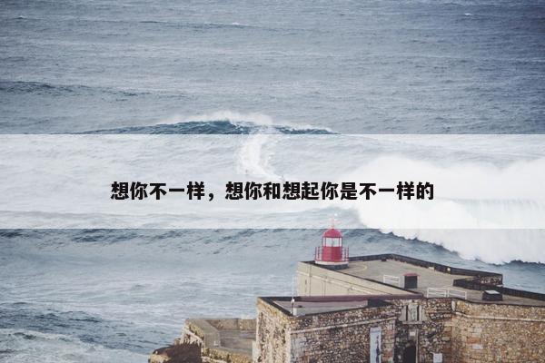想你不一样，想你和想起你是不一样的