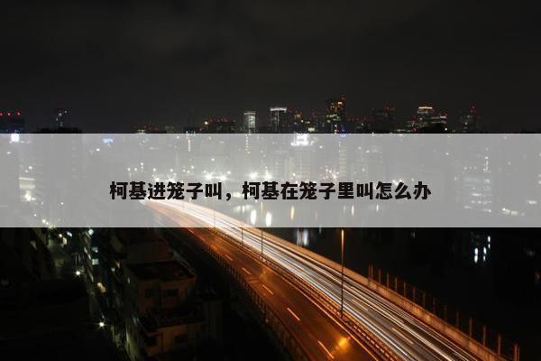 柯基进笼子叫，柯基在笼子里叫怎么办