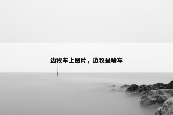 边牧车上图片，边牧是啥车
