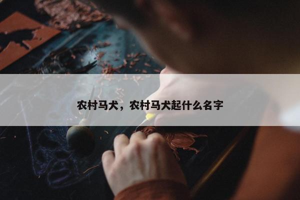 农村马犬，农村马犬起什么名字