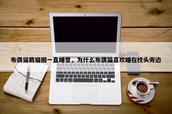 布偶猫戴猫圈一直睡觉，为什么布偶猫喜欢睡在枕头旁边