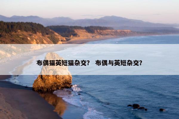 布偶猫英短猫杂交？ 布偶与英短杂交？