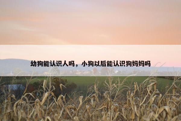 幼狗能认识人吗，小狗以后能认识狗妈妈吗