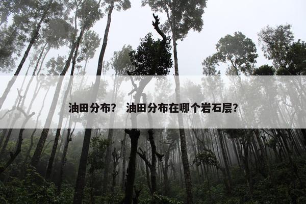 油田分布？ 油田分布在哪个岩石层？
