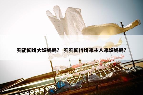 狗能闻出大姨妈吗？ 狗狗闻得出来主人来姨妈吗？