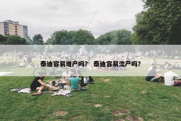 泰迪容易难产吗？ 泰迪容易流产吗？