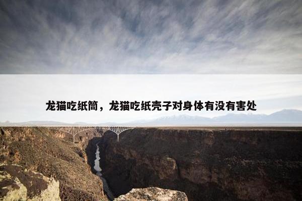 龙猫吃纸筒，龙猫吃纸壳子对身体有没有害处