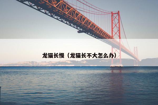 龙猫长慢（龙猫长不大怎么办）