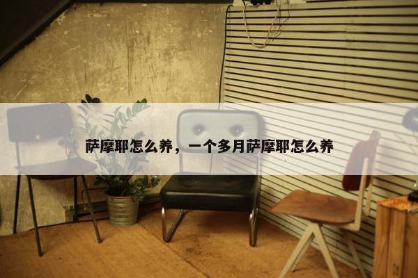 萨摩耶怎么养，一个多月萨摩耶怎么养