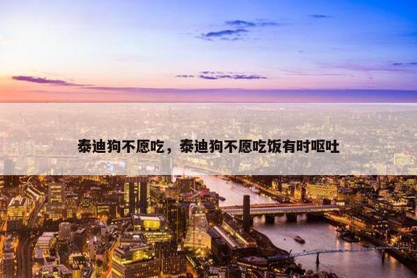 泰迪狗不愿吃，泰迪狗不愿吃饭有时呕吐
