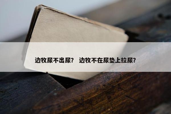 边牧尿不出尿？ 边牧不在尿垫上拉尿？