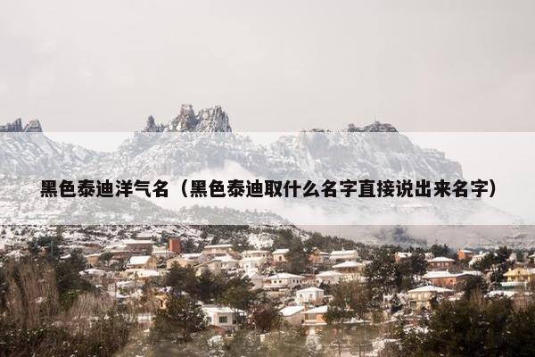 黑色泰迪洋气名（黑色泰迪取什么名字直接说出来名字）