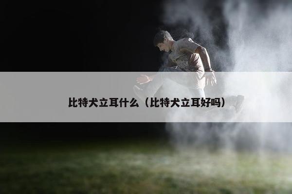 比特犬立耳什么（比特犬立耳好吗）