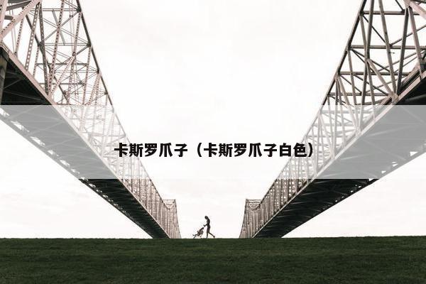 卡斯罗爪子（卡斯罗爪子白色）