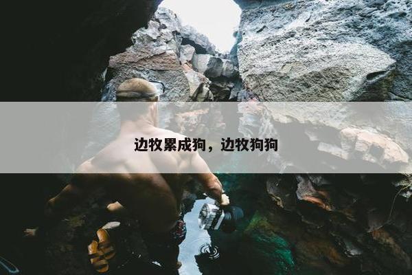 边牧累成狗，边牧狗狗