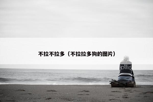 不拉不拉多（不拉拉多狗的图片）