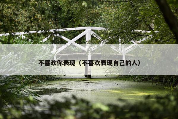 不喜欢你表现（不喜欢表现自己的人）