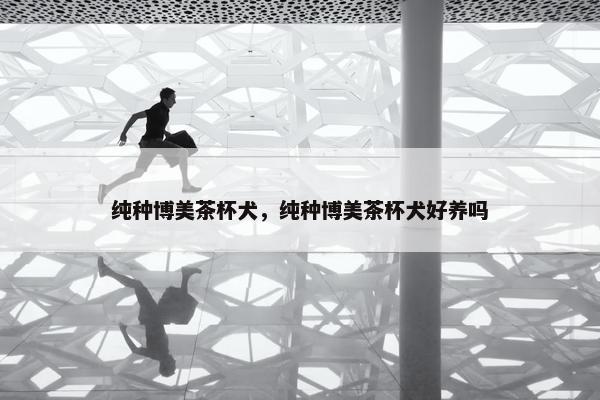 纯种博美茶杯犬，纯种博美茶杯犬好养吗