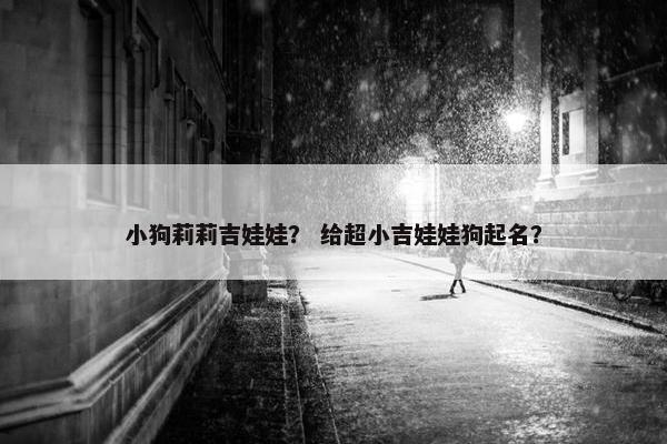 小狗莉莉吉娃娃？ 给超小吉娃娃狗起名？