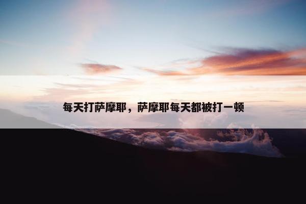 每天打萨摩耶，萨摩耶每天都被打一顿