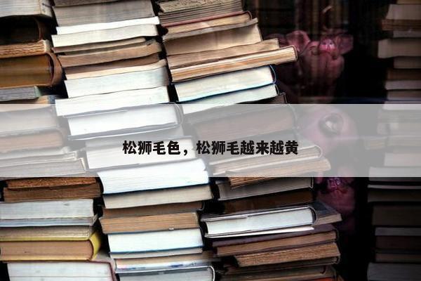 松狮毛色，松狮毛越来越黄