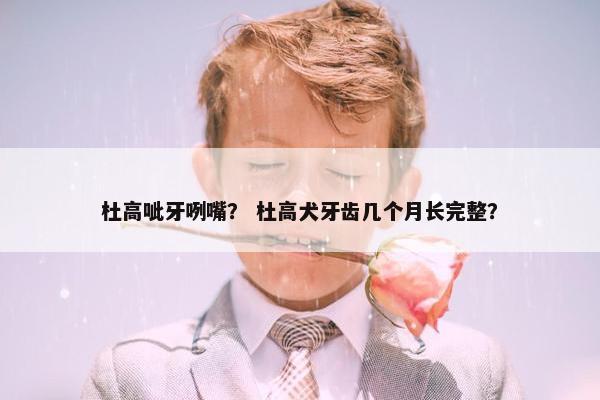 杜高呲牙咧嘴？ 杜高犬牙齿几个月长完整？