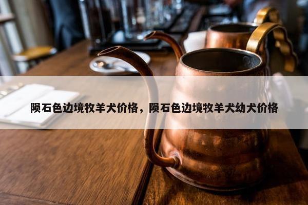 陨石色边境牧羊犬价格，陨石色边境牧羊犬幼犬价格