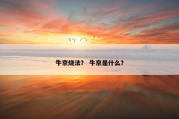 牛京烧法？ 牛京是什么？