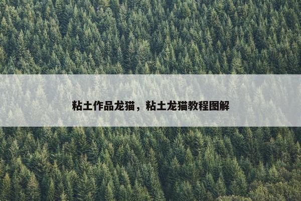 粘土作品龙猫，粘土龙猫教程图解