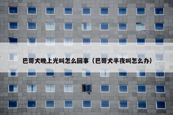 巴哥犬晚上光叫怎么回事（巴哥犬半夜叫怎么办）