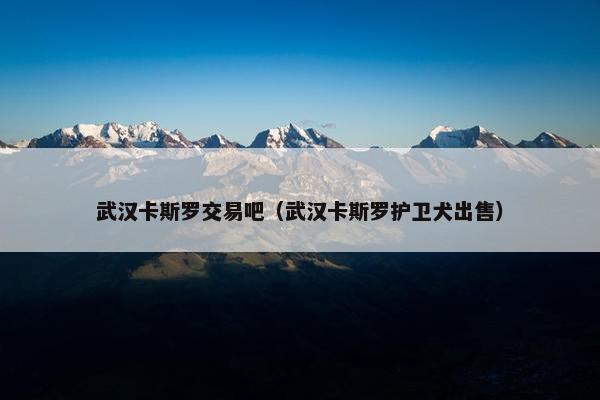 武汉卡斯罗交易吧（武汉卡斯罗护卫犬出售）