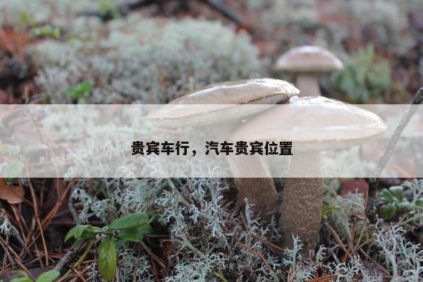 贵宾车行，汽车贵宾位置