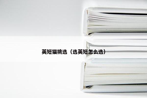 英短猫挑选（选英短怎么选）
