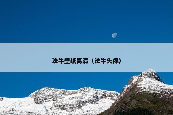 法牛壁纸高清（法牛头像）