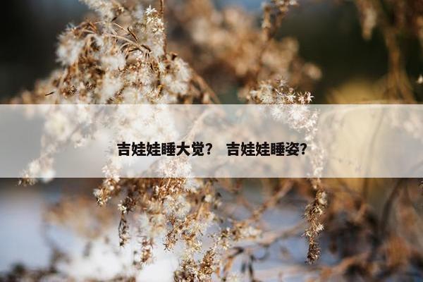 吉娃娃睡大觉？ 吉娃娃睡姿？