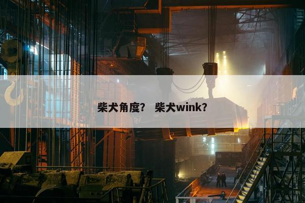 柴犬角度？ 柴犬wink？