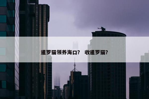 暹罗猫领养海口？ 收暹罗猫？