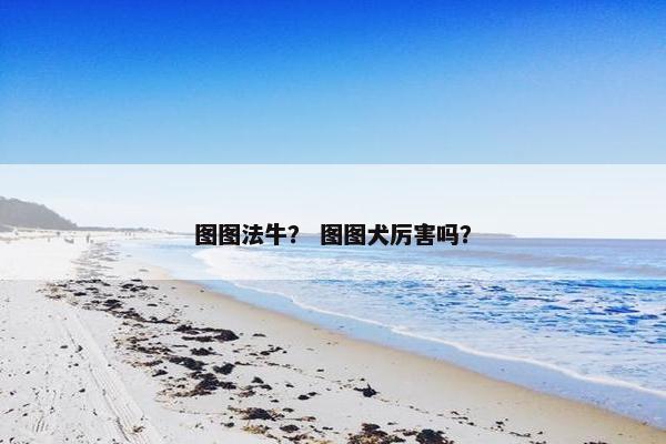 图图法牛？ 图图犬厉害吗？