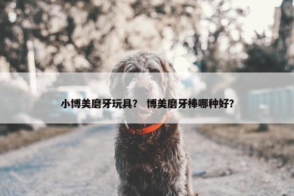 小博美磨牙玩具？ 博美磨牙棒哪种好？