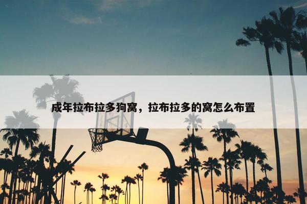 成年拉布拉多狗窝，拉布拉多的窝怎么布置