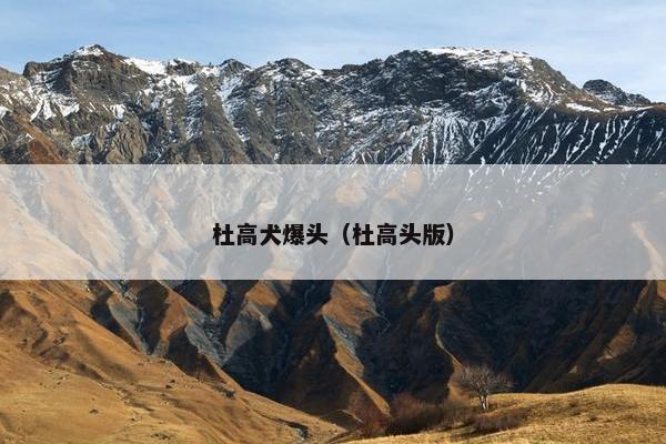 杜高犬爆头（杜高头版）