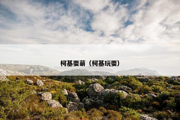 柯基耍萌（柯基玩耍）