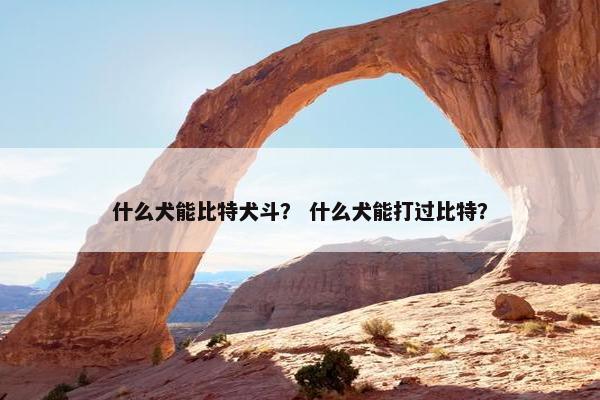 什么犬能比特犬斗？ 什么犬能打过比特？