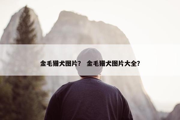 金毛猎犬图片？ 金毛猎犬图片大全？