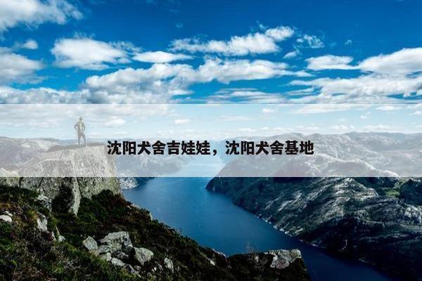 沈阳犬舍吉娃娃，沈阳犬舍基地