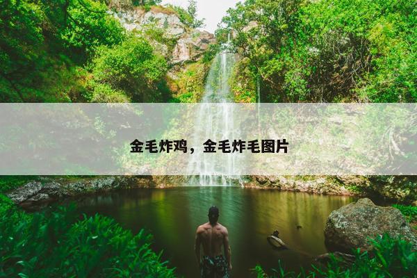 金毛炸鸡，金毛炸毛图片